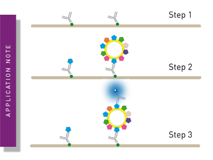 Exosome marker detection: an exquisitely sensitive Europium Time Resolved Immunofluorescence assay