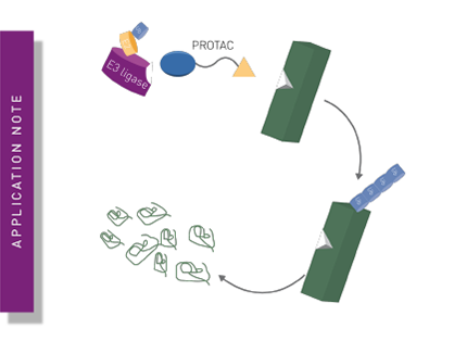 Schematic of PROTAC function