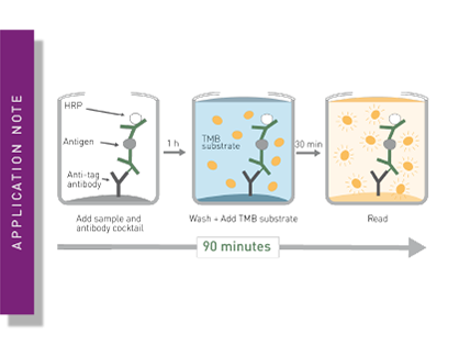 Fast and accurate detection of Alzheimer’s Disease targets with SimpleStep ELISA kits and SPECTROstar Nano