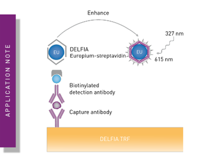 Time Resolved Fluorescence (TRF) immunoassay in 384-well format using a matched antibody pair kit and the PHERAstar® FSX