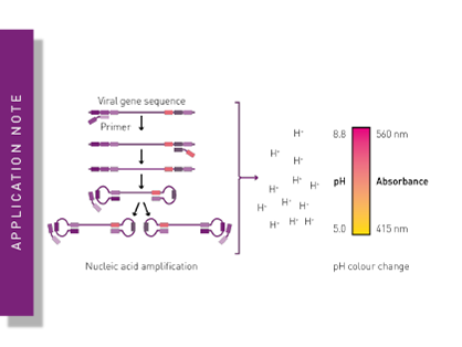 LAMP assay for detecting SARS-CoV-2 RNA using an absorbance-based colorimetric readout