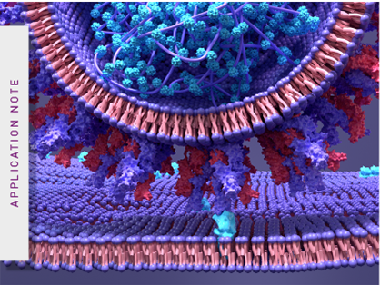Development of an AlphaLISA protein-protein interaction assay to screen for re-purposed drugs as targeted disruptors
