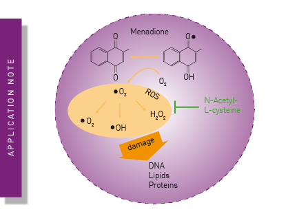 ROS detection in a cell-based format using the Promega ROS-Glo™ assay