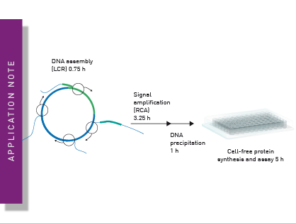 Cell-free extract protein synthesis: Rapid single vessel DNA assembly and protein production in microliter scale
