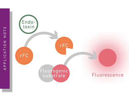 Stream-lined detection of endotoxin using the ENDOZYME II recombinant factor C assay and Enhanced Dynamic Range on the VANTAstar