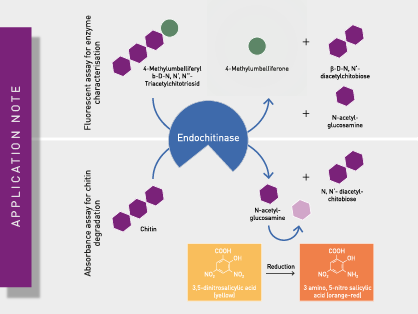 The endochitinase Chit36-TA from Trichoderma asperellum enables degradation of colloidal chitin from shrimp shells