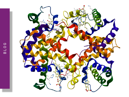 The absorbance spectrum of hemoglobin