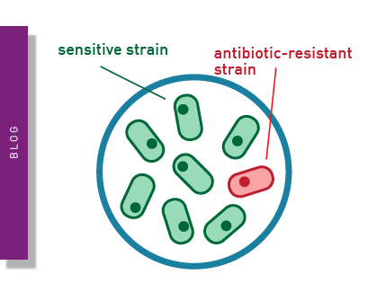 Advances in combating antimicrobial resistance