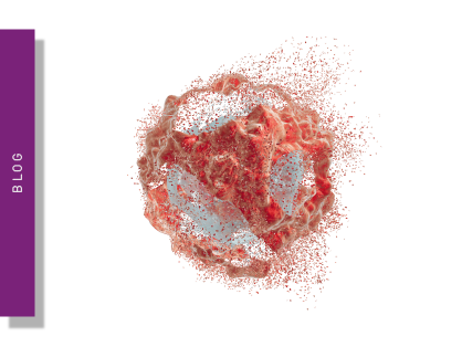 Apoptosis – what assay should I use?