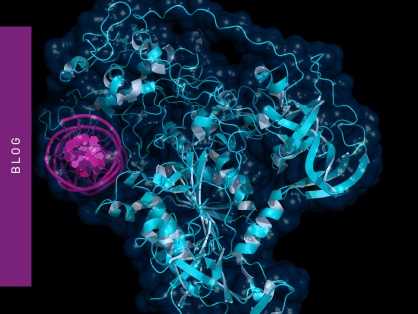 Binding Assays - More Than One Way to Achieve your Goals