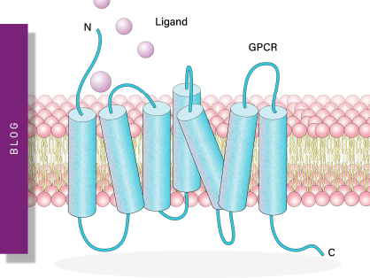 gpcr-teaser
