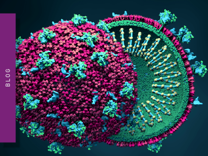 How to detect a virus with a microplate reader?