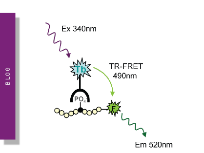 LanthaScreen technology