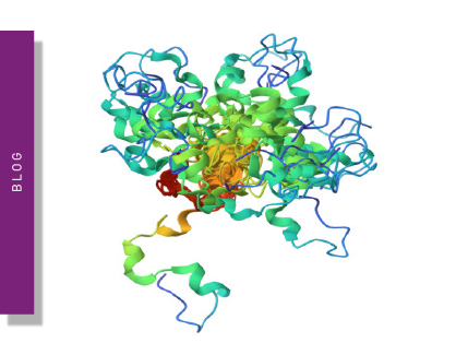 The mechanisms of tau-induced neurotoxicity