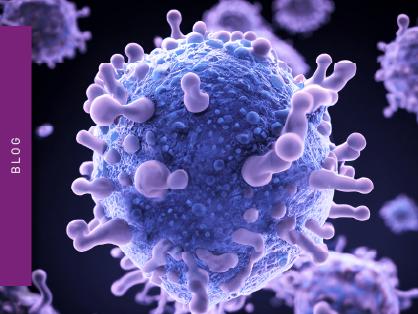 The monocyte activation test