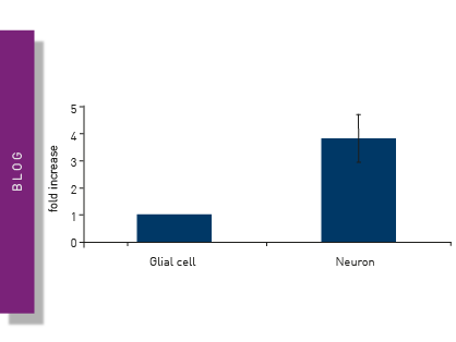 neuronal-cell-death-teaser
