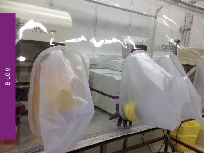 On track of new gut bacteria that can influence our health