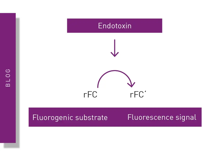 The rFC Test or Recombinant Factor C Test