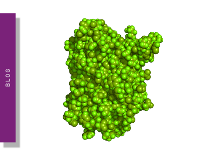 roGFP: a biosensor for cellular redox states