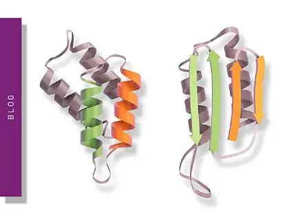 RT-QuIC Assays: Real-Time Quaking-Induced Conversion Assays