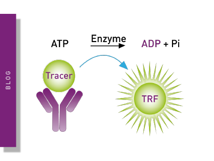 Transcreener® assays