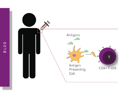 Vaccine Development: past, present and future