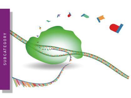 Illustration of gene expression