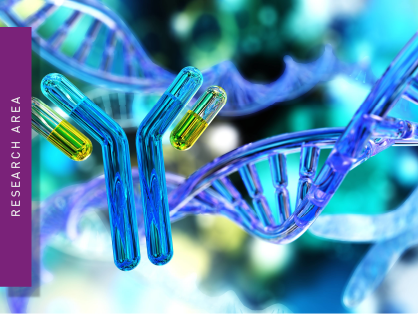 Antibody and DNA helix