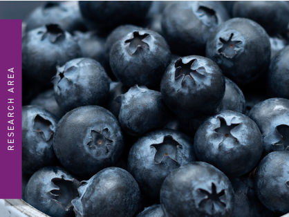 Some blueberries