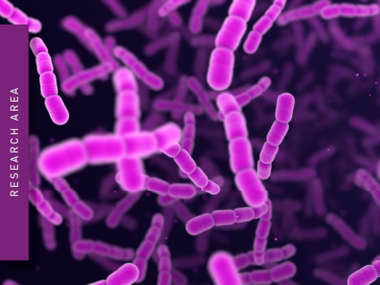 Streptococcus pneumonia bacteria cells
