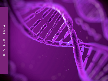 DNA strand