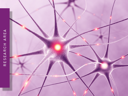 A neuron cell