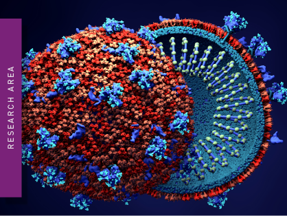 A virus cell
