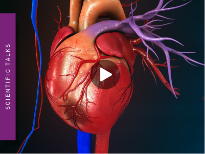 Simulating ischemia reperfusion injury in vitro as a potential method for drug screening