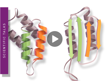 Illustration of Prion assay