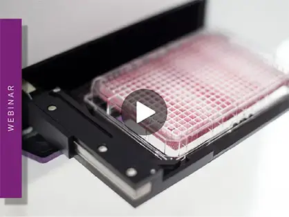 optimising-microplate-reader-measurements-teaser