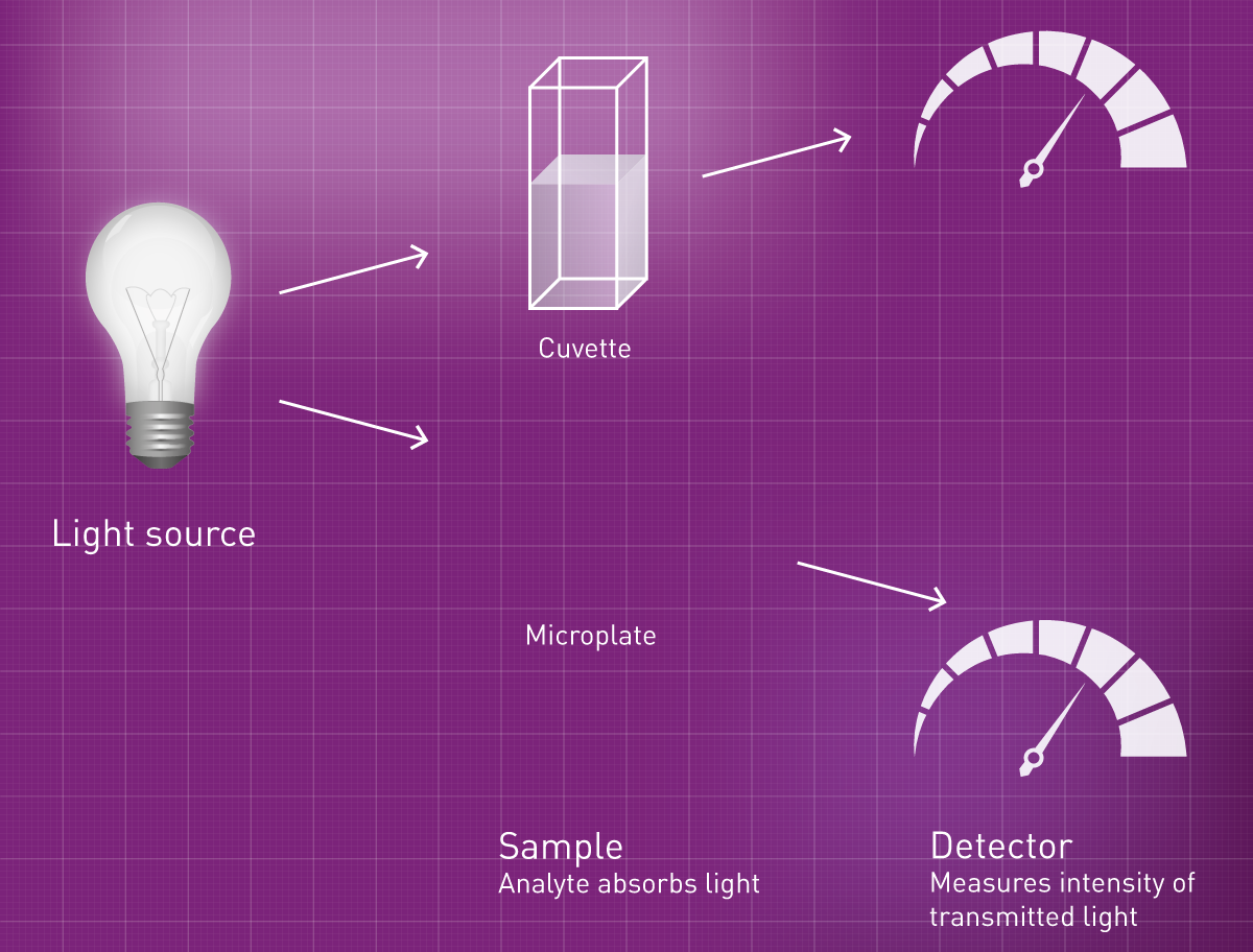 Fig. 2: Absorbance is measured by sending light through the sample and detecting the transmitted portion of it.