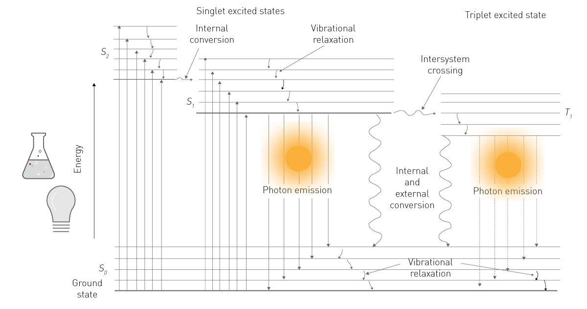 Fig. 1: Modified Jablonski diagram. During luminescence, energy sources lift molecules into electronically excited states (S2). As electrons fall back into the state of lowest energy (S0) photons are emitted.