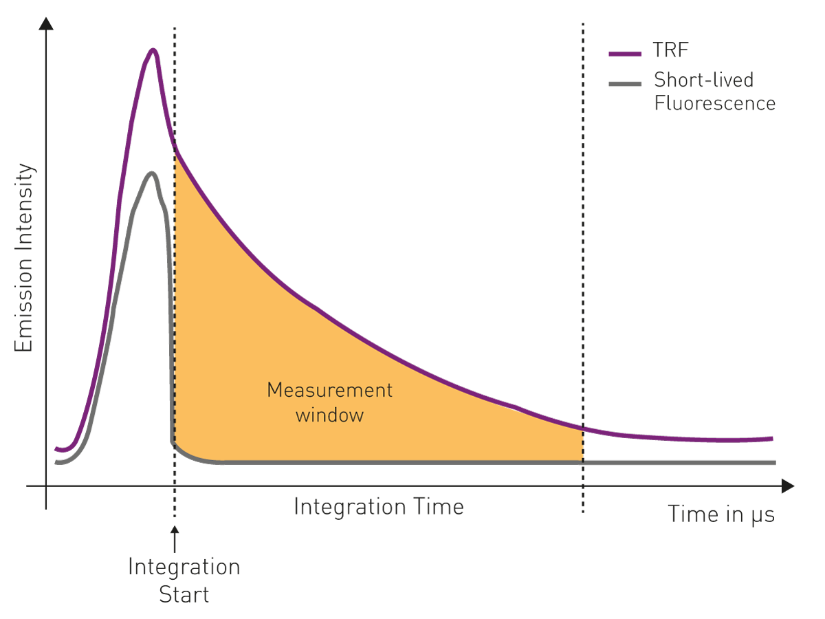Fig. 5: schematic of the measurement of time-resolved fluorescence. Upon exhaustion of the unspecific background signal (short-lived fluorescence), the detector is switched on (integration start) and the fluorescent signal is collected for a specific time (integration time). The area under the curve during integration time represents the quantification of the emitted signal.