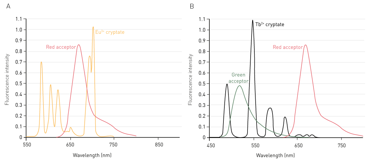 Fig. 6: combination of HTRF donor and acceptor emission spectra. A) Emission spectra of the europium cryptate and its red acceptor. B) Emission spectra of the Terbium cryptate and its red and green acceptors.