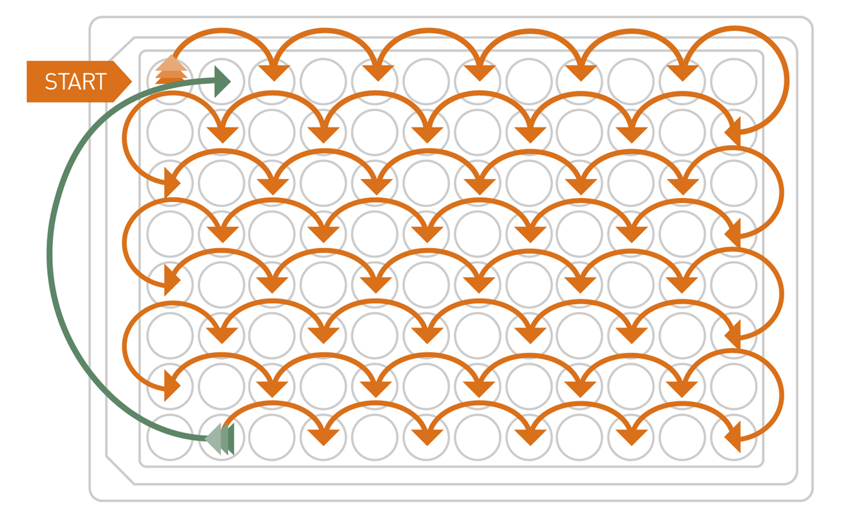 Fig. 5: In interlaced reading, every other well is measured until the end of the microplate is reached. Then the remaining wells are measured by the microplate reader. The spatial and “temporal” distance significantly reduces cross-talk.
