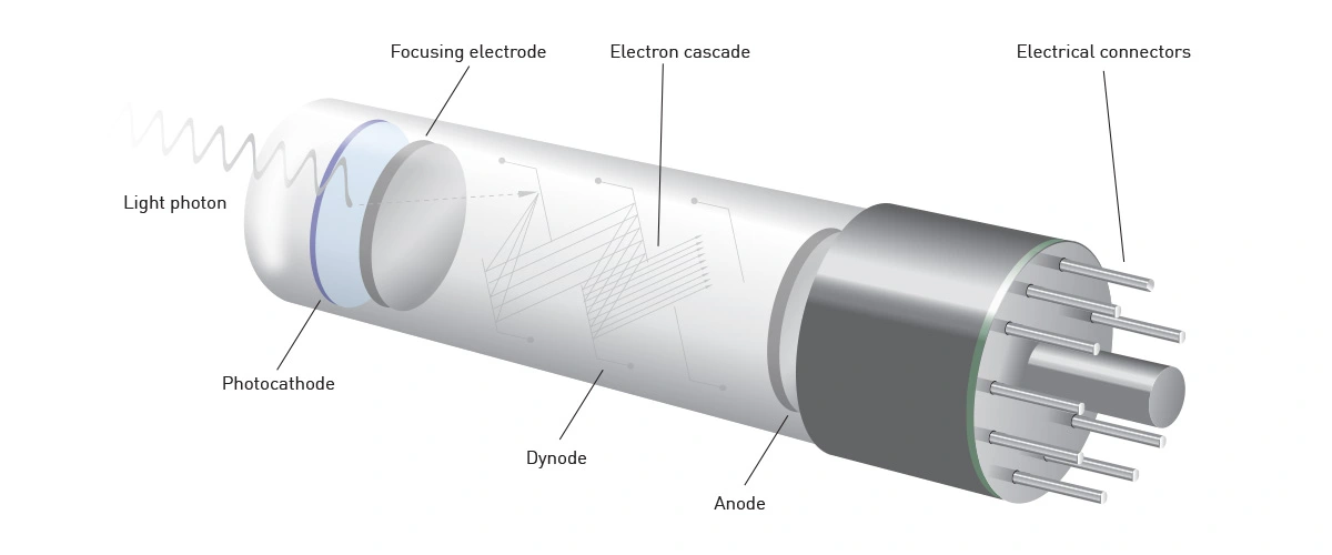 Fig. 1: Photomultiplier tube (PMT) used in the PHERAstar detection system.