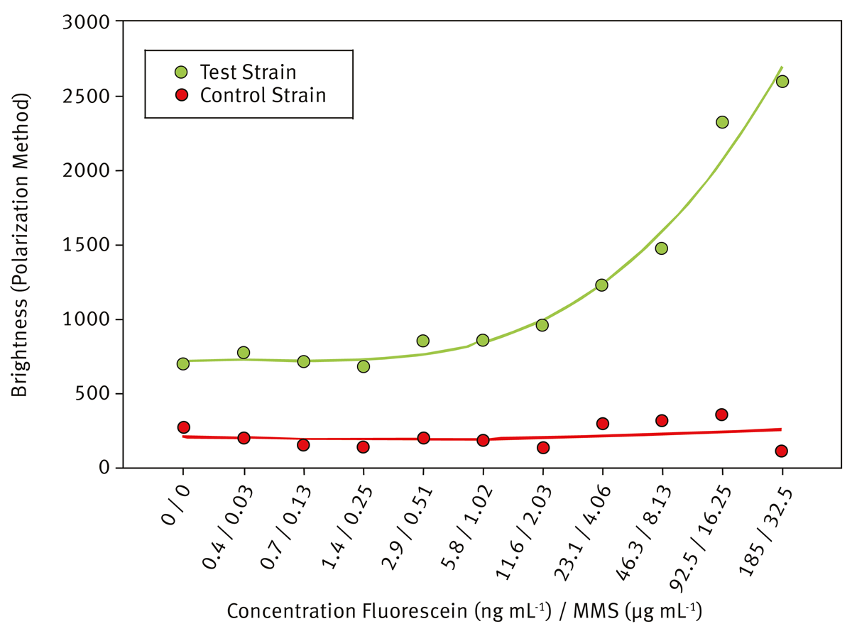 Fig. 2: Polarization of the control and test strains exposed to the genotoxin MMS spiked with a model interfering autofluorescent compound, fluorescein.