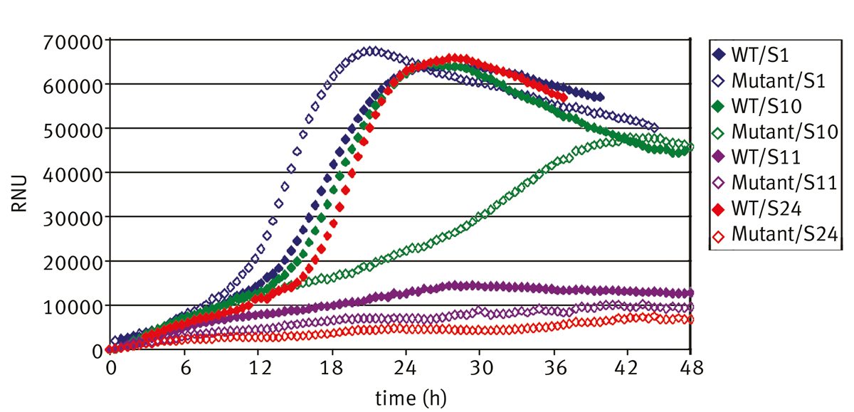 Fig. 4: Growth curves of the C. glutamicum wild type and a deletion mutant cultured on minimal medium supplemented with different sulphur sources.