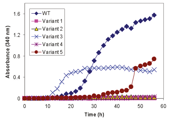 Fig. 1: Time course of protein aggregation by wild-type “Protein X” and its variants.