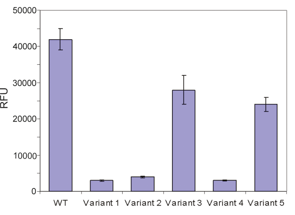 Fig. 2: Endpoint fluorescence measurements associated with binding of fibril-specific Thioflavin-T.