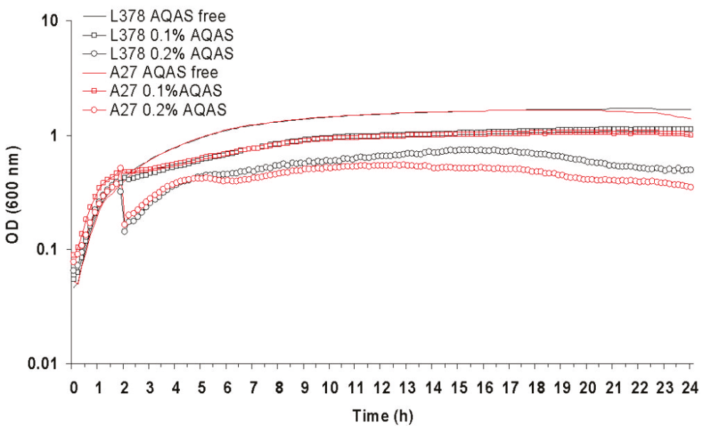 Fig. 2: Growth of AQAS selected mutant A27 and parent L378 at 37°C after inoculation with 4% vol/vol of overnight culture. AQAS was added to cultures at 2 h.