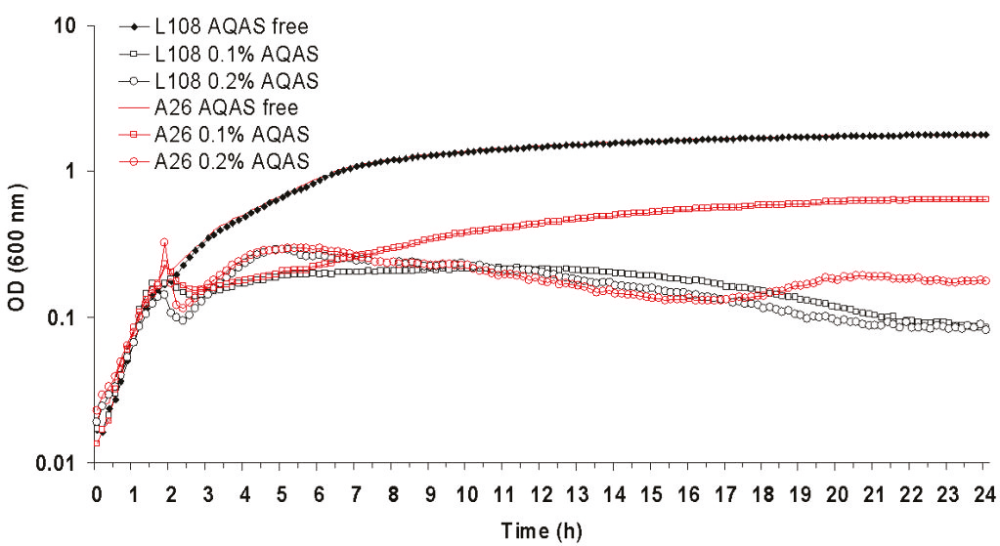 Fig. 3: Growth of AQAS selected mutant A26 and parent L108 at 37°C after inoculation with 4% vol/vol of overnight culture. AQAS was added to cultures at 2 h.