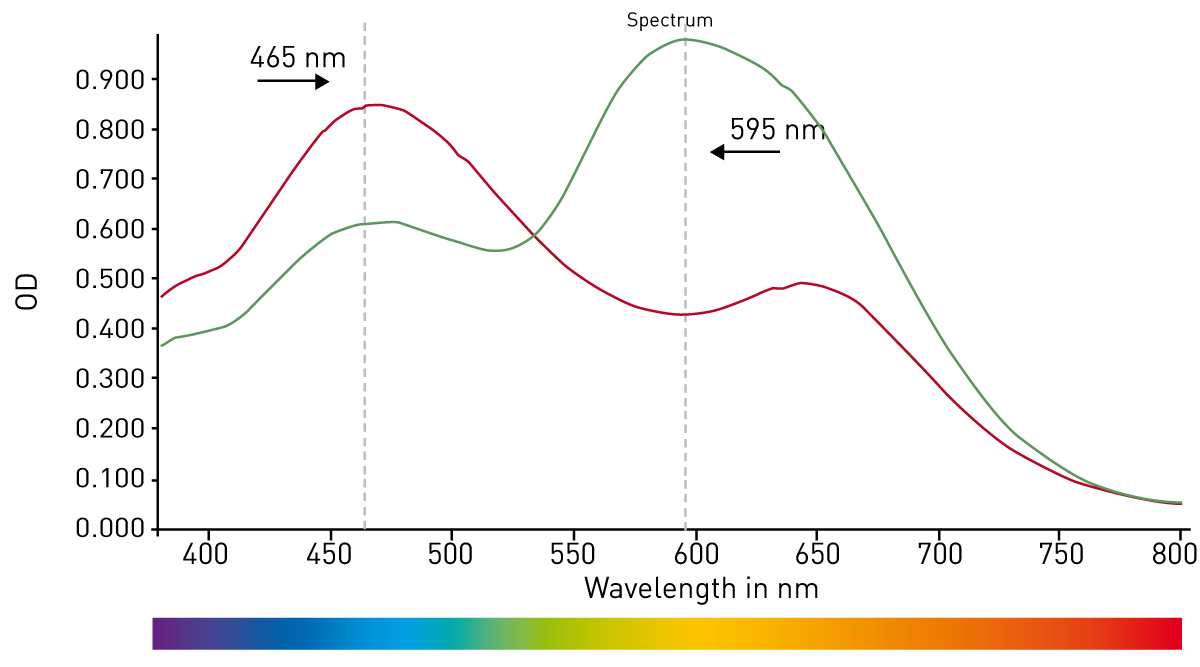 Fig. 2: The spectrum from unbound (red line) and protein bound (green line) Coomassie Brilliant Blue. After binding the absorbance maximum of the dye shifts from 465 nm to 595 nm.
