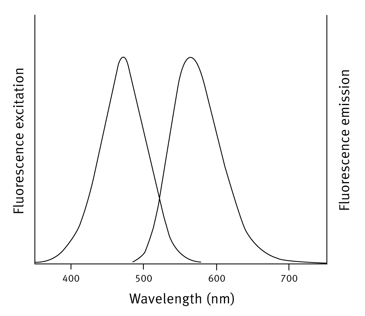 Fig. 1: Excitation and emission spectra of the NanoOrange reagent (Copyright Invitrogen Corporation. Used with permission).